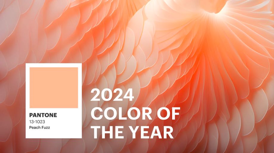 Incorpora colores en tendencia en tu decoración
