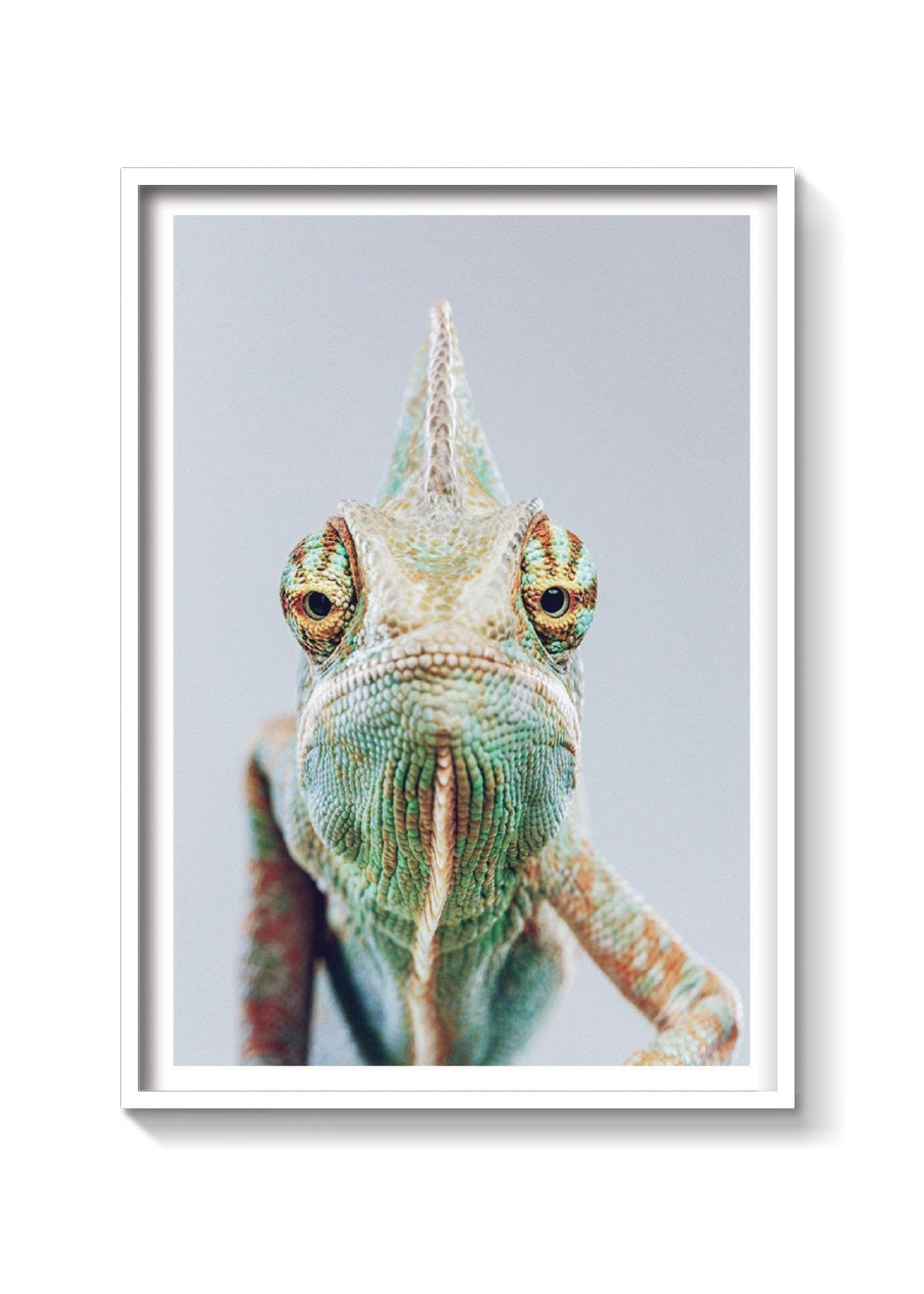 CAMALEON