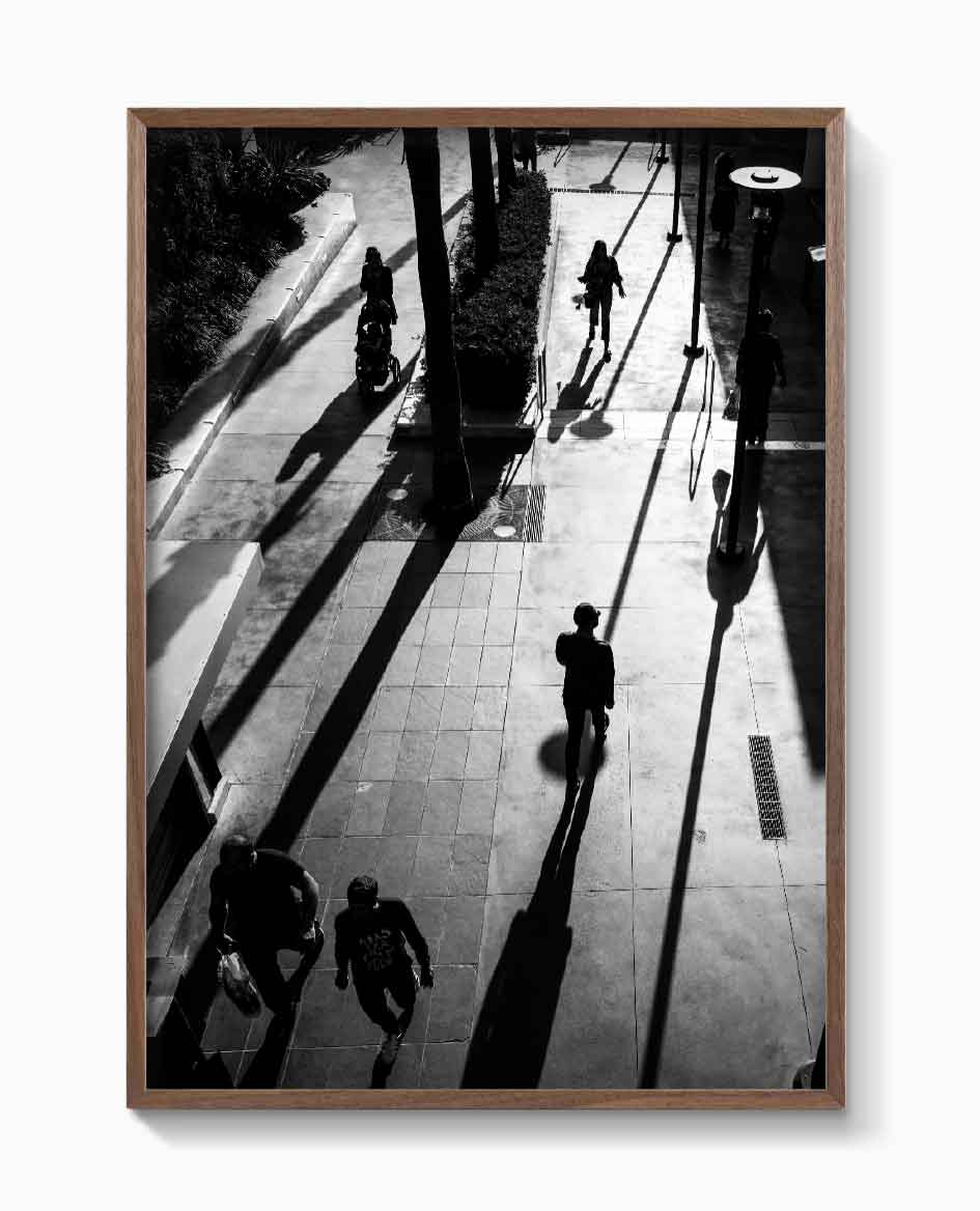 HOLLYWOOD SHADOWS
