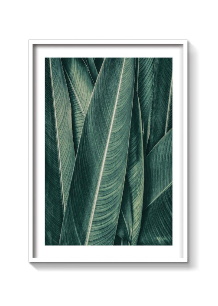 PLANTAS NO3