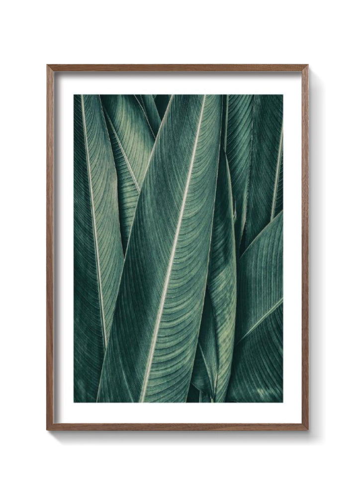 PLANTAS NO3
