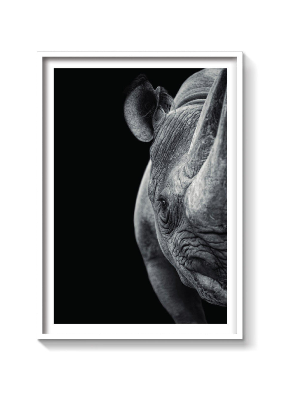 RINO