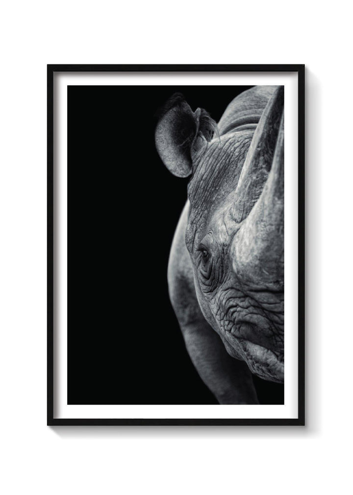 RINO