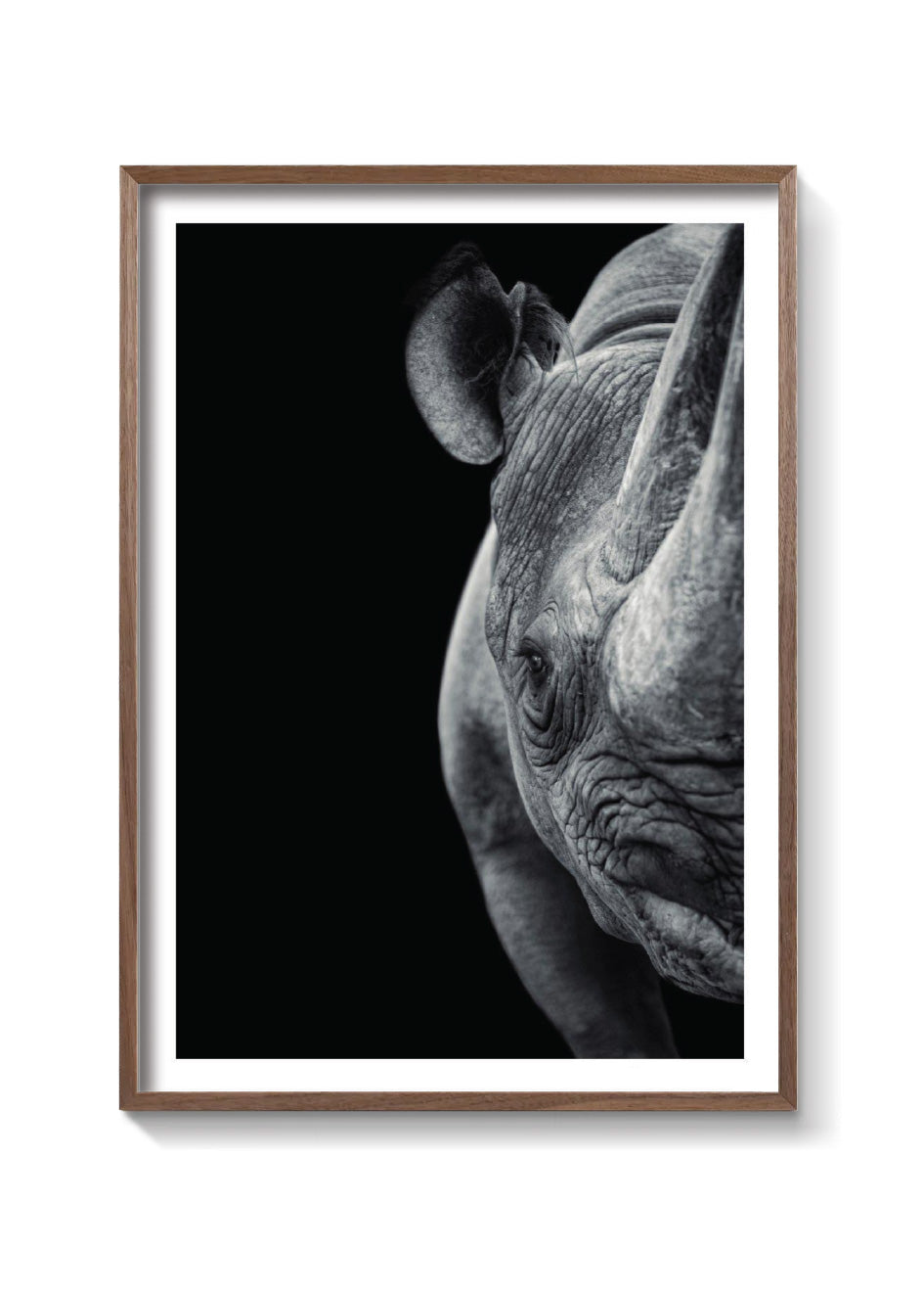 RINO
