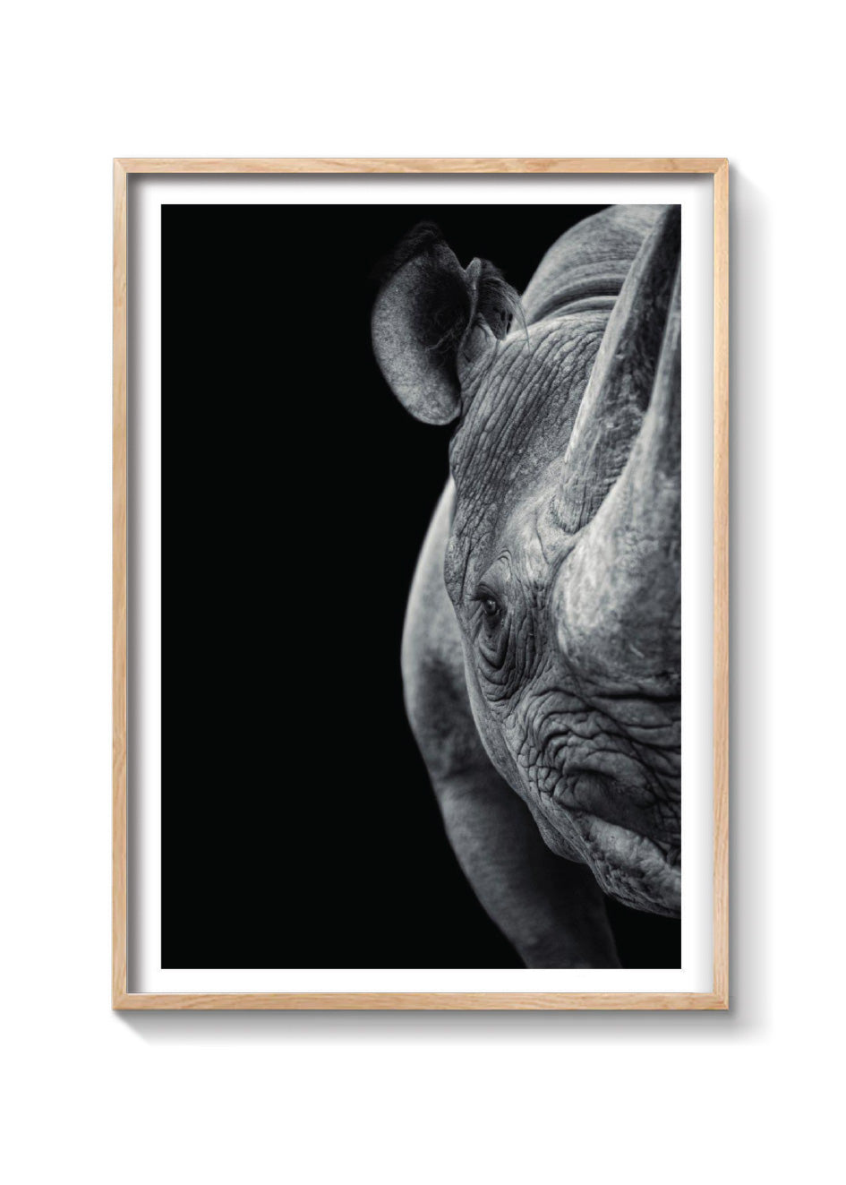 RINO