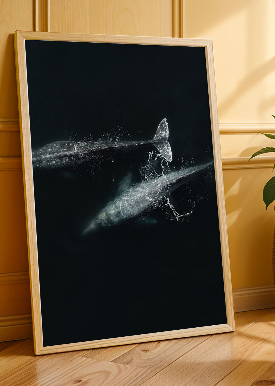 Ballena Gris, San Carlos