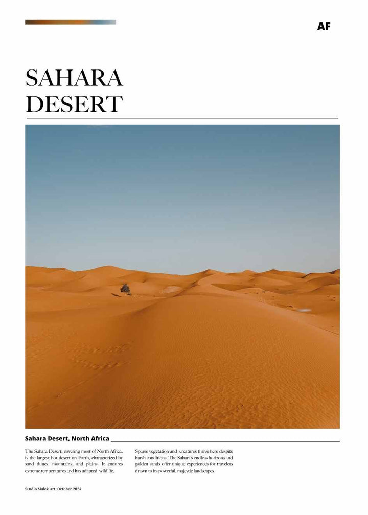 SAHARA DESERT ARTICLE